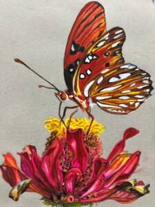 Butterfly and Blossom