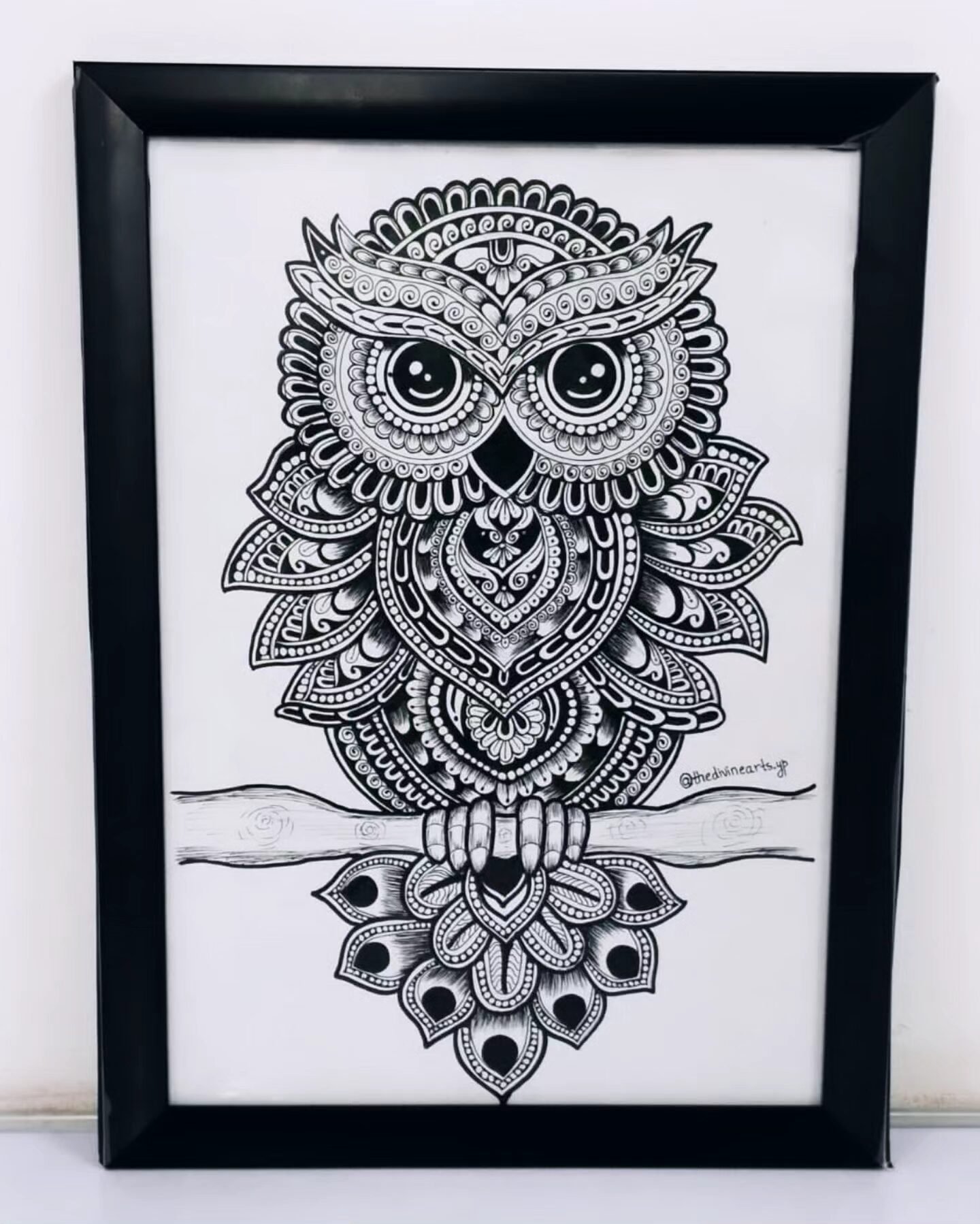 The Celestial Owl